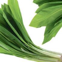 12923155_235958343425361_3159740456230276475_n